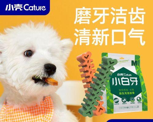 狗狗生了后吃什么好？产后营养补充指南