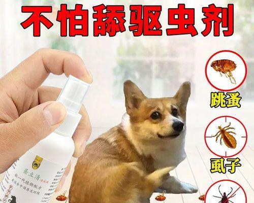 狗狗生了三十天打虫应该注意什么？如何正确进行驱虫？