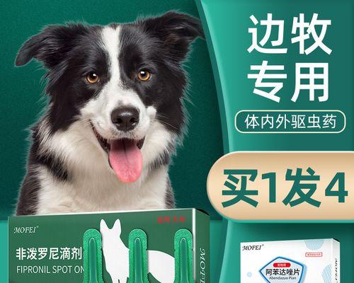狗狗生了三十天打虫应该注意什么？如何正确进行驱虫？