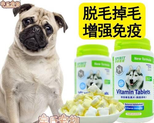 狗狗生完小狗后有哪些常见表现？需要特别注意什么？