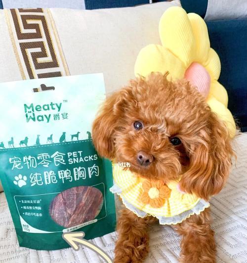 狗狗什么食物对胃好？如何选择适合狗狗的健康食品？