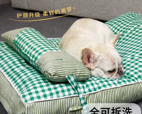 狗狗睡觉的理想温度是多少？如何为宠物创造舒适的睡眠环境？