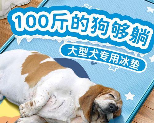 狗狗睡觉的理想温度是多少？如何为宠物创造舒适的睡眠环境？
