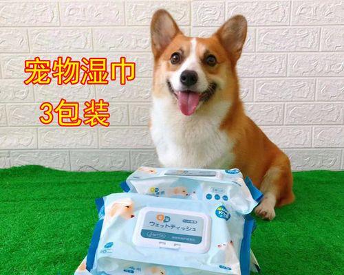 狗狗腿别到了怎么办？如何正确处理宠物的腿部受伤？
