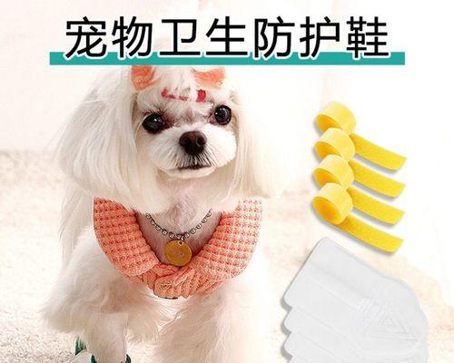 狗狗腿别到了怎么办？如何正确处理宠物的腿部受伤？