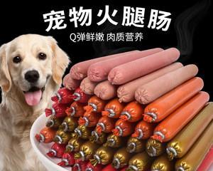 狗狗不吃火腿怎么办？可能的原因和解决方法是什么？