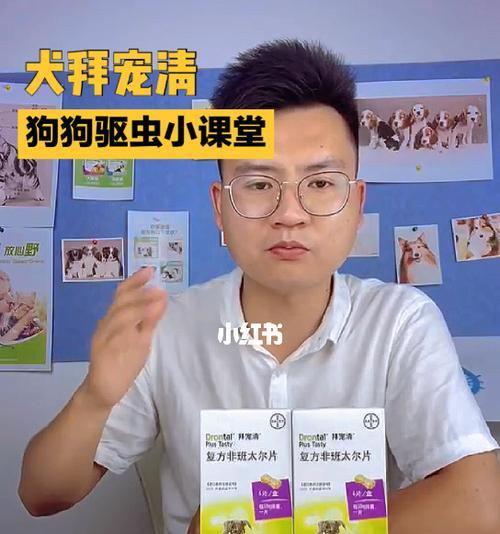 狗狗为什么会得绦虫？如何预防和治疗？