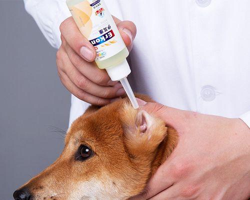狗狗剪耳的原因是什么？这样做有什么好处？