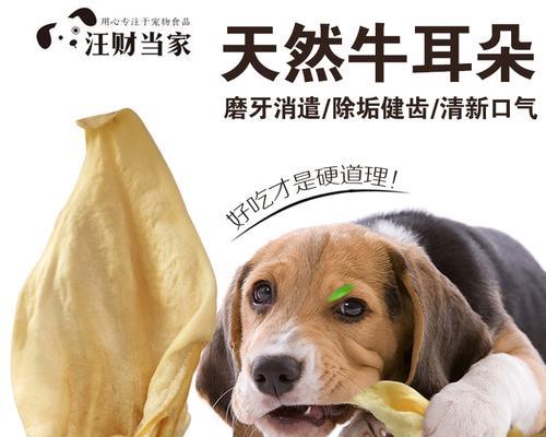 狗狗剪耳的原因是什么？这样做有什么好处？