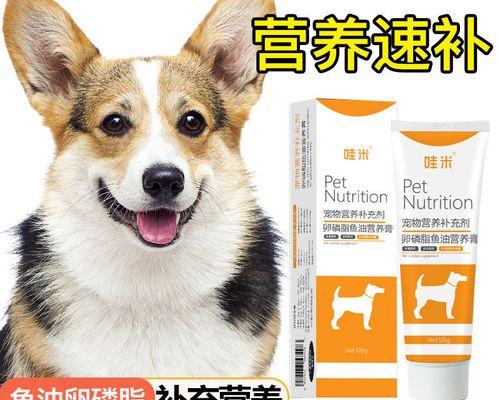 狗狗频繁甩身子是什么原因？如何解决？
