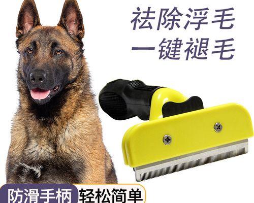 狗狗脸部脱毛的原因是什么？如何预防和治疗？