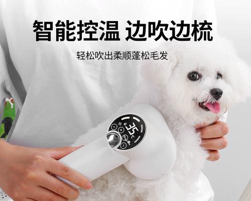 狗狗为什么怕吹风机？如何让宠物适应使用吹风机？