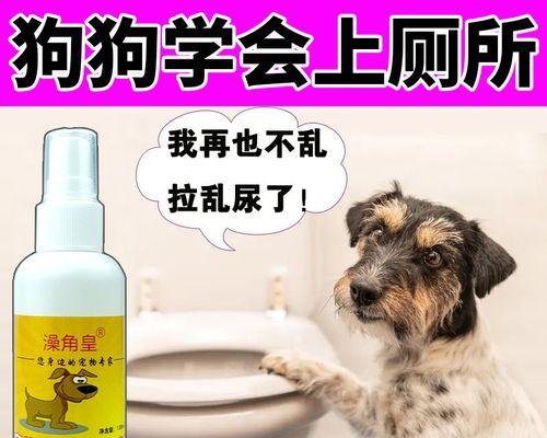 狗狗舔尿行为背后的科学解释是什么？