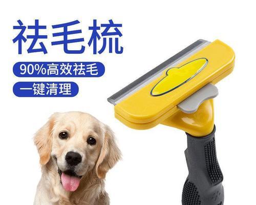 狗狗喜欢主人梳毛吗？如何让宠物享受梳理过程？