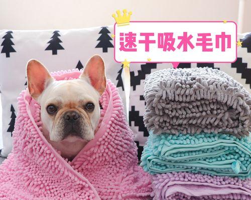 狗狗洗澡用什么香皂？如何选择适合宠物的洗护产品？