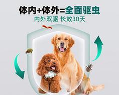 狗狗洗澡时如何有效去除跳蚤？