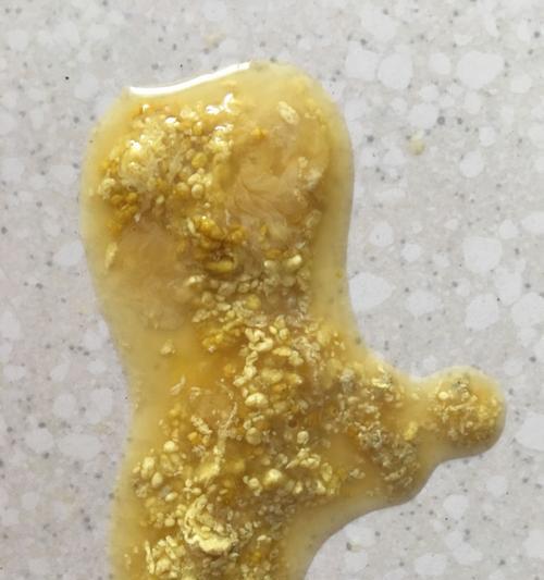 狗狗细小但是没有吐？这是怎么回事？