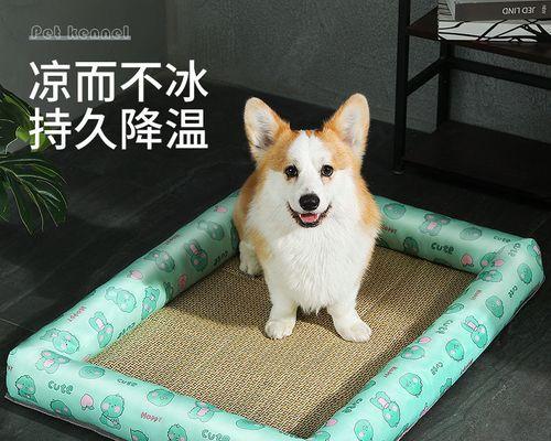 狗狗夏天用凉席好吗？如何选择适合宠物的凉席？