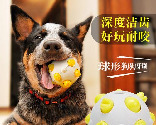 狗狗小产了怎么回事？如何处理和预防？