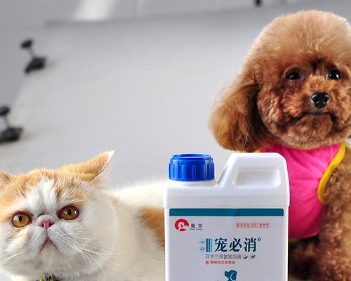 狗狗心脏斌吃什么药？如何选择合适的药物？