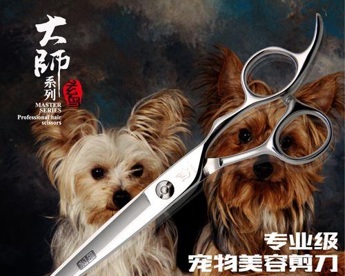 狗狗修头用什么剪刀？如何选择合适的宠物美容工具？