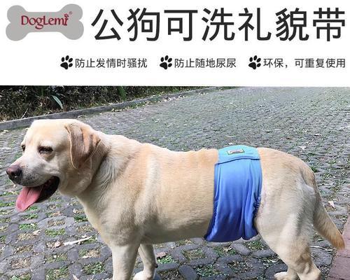 狗狗为什么总在一个地方尿一点？如何训练它改变这个习惯？