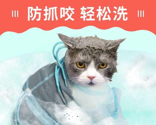猫咪怀孕的迹象有哪些？如何判断猫咪是否怀孕？