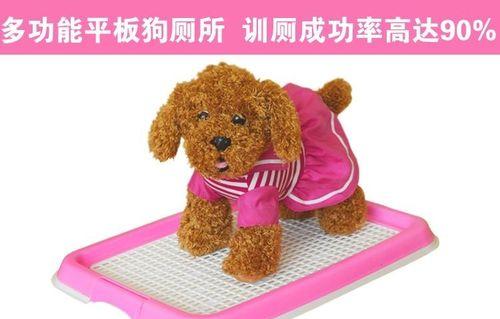 怎么写禁止宠物狗拉屎？有效防止宠物狗随地排泄的方法是什么？
