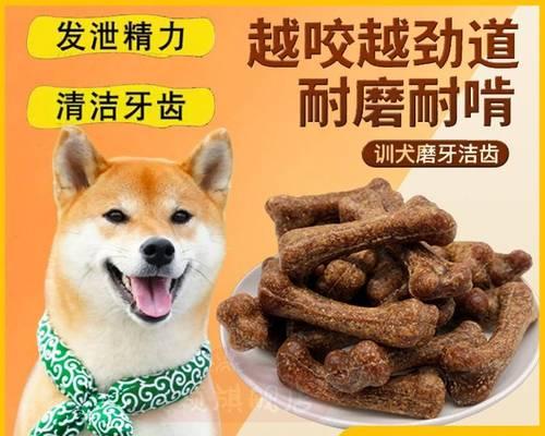 怎么训练狗狗吃东西嚼？训练狗狗咀嚼的正确方法是什么？