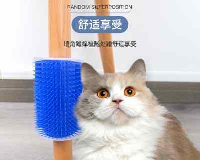 怎么训练小猫咪拉大便？训练小猫使用猫砂盆的正确方法是什么？