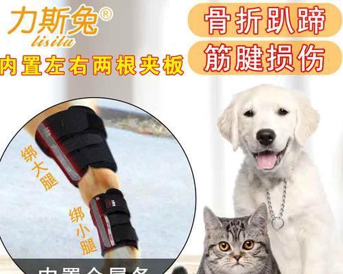 狗狗关节扭伤如何预防？有效预防措施有哪些？