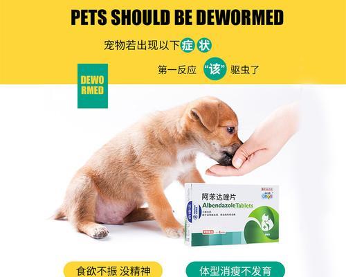 2个月狗狗吃打虫药后拉稀怎么办？常见原因及处理方法是什么？
