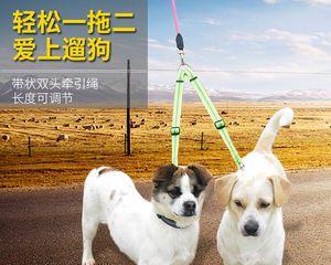 2个月小狗牵引绳抗拒怎么办？如何训练小狗适应牵引绳？