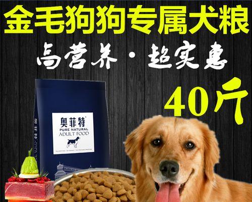 3个月大的金毛犬每天应该喂多少狗粮合适？