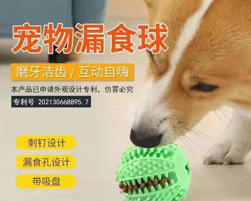 40天狗狗体味重怎么处理？有效清洁方法有哪些？
