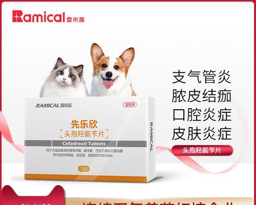 6斤狗服用头孢消炎药的正确方法是什么？