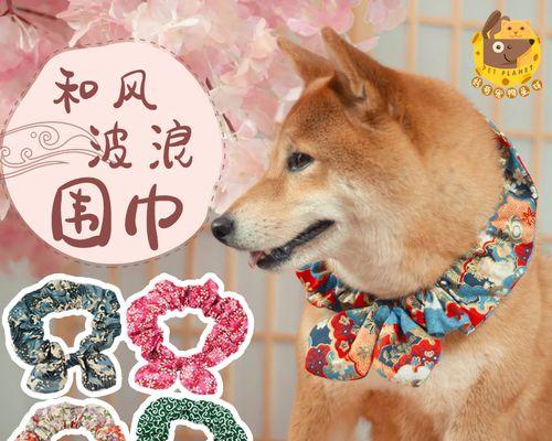 出生20天的小狗长啥样？如何照顾这个阶段的小狗？