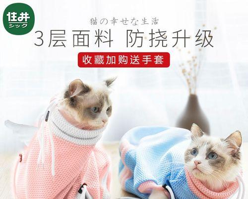 大猫咪一天拉几次是正常的吗？如何判断猫咪排便健康？