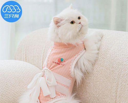 刚断奶的猫可以吃什么药？如何正确给幼猫用药？