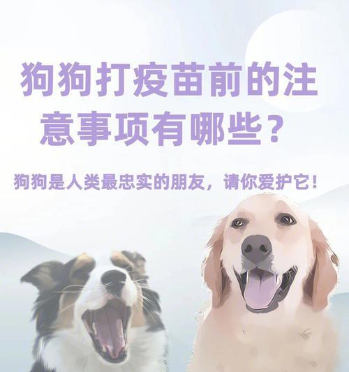 给狗狗打疫苗是什么情况？需要了解哪些常见问题？