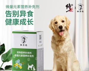 狗补充维生素b多少为宜？如何正确补充维生素b？