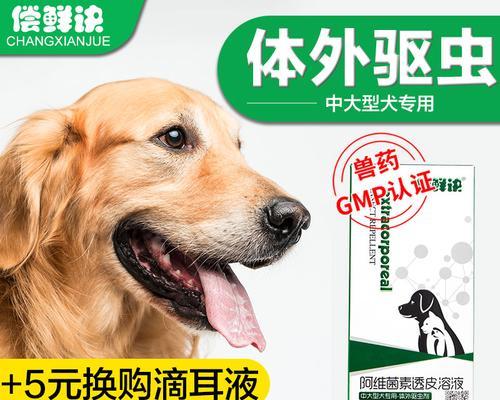 狗误食人类药物后怎么办？如何进行紧急处理？