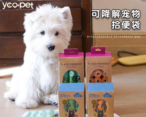 狗的粪便能说明什么作用？如何通过粪便了解狗狗健康状况？
