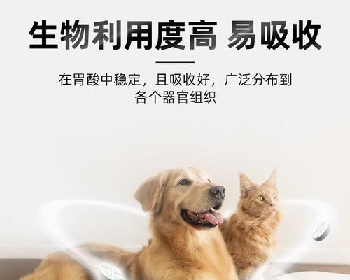 狗的尿道炎怎么治疗偏方？有哪些有效的方法？