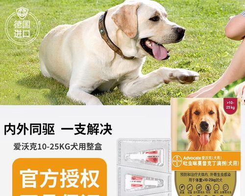 狗狗鼻子螨虫用什么药膏？如何正确使用治疗？