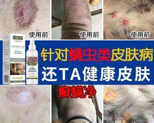 狗狗长螨虫掉毛怎么办？有效治疗方法有哪些？