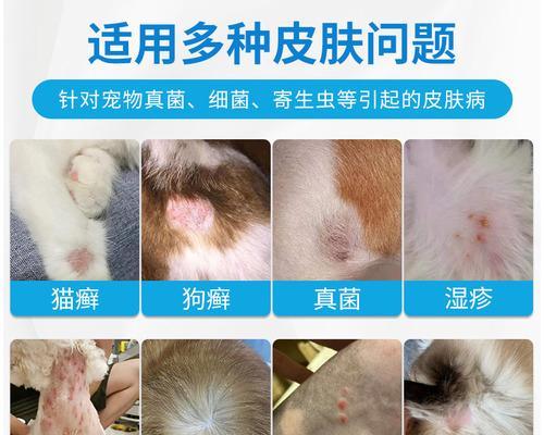 狗狗长螨虫掉毛怎么办？有效治疗方法有哪些？