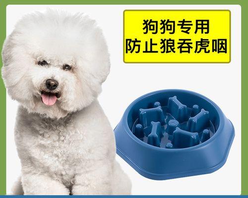 狗狗吃多了吐拉怎么办啊？如何快速缓解宠物不适？