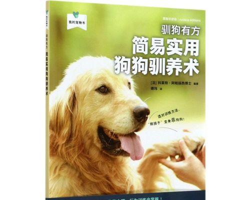 狗狗吃多了吐拉怎么办啊？如何快速缓解宠物不适？