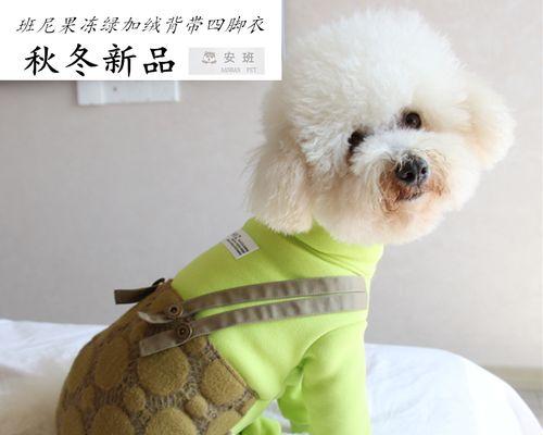 狗狗肚子很红是什么原因？如何处理？